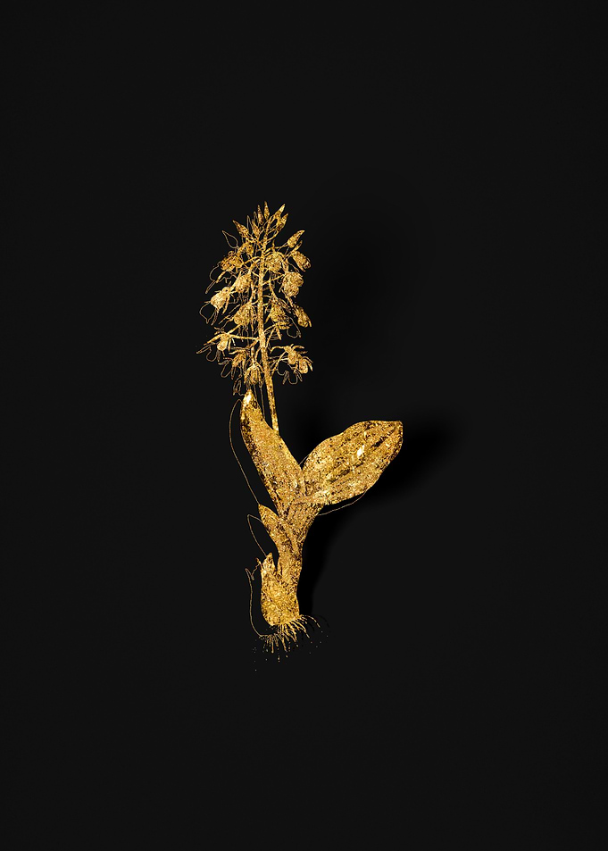 Gold Flower on Black