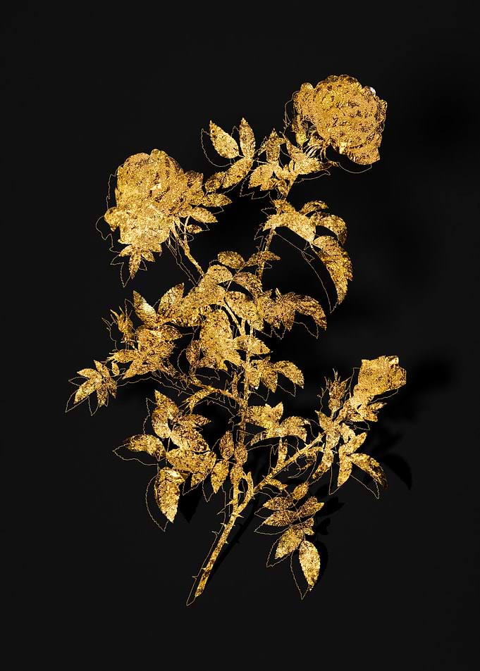 Gold Flora on Black