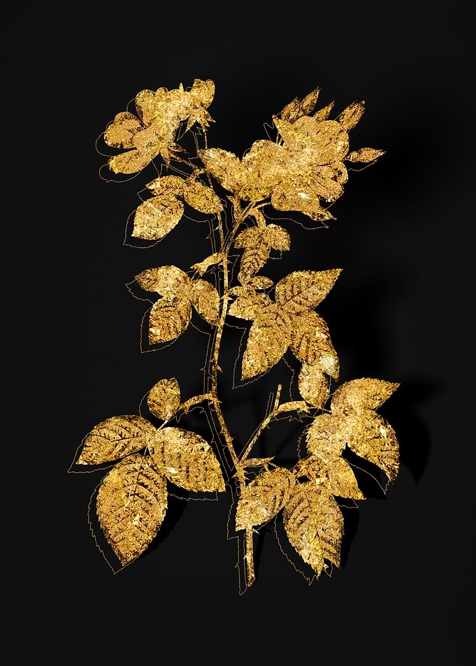 Gold Flora on Black