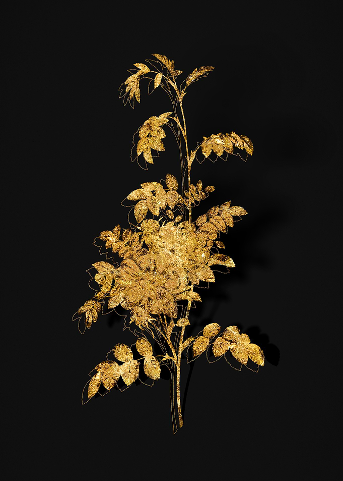 Gold Flora on Black