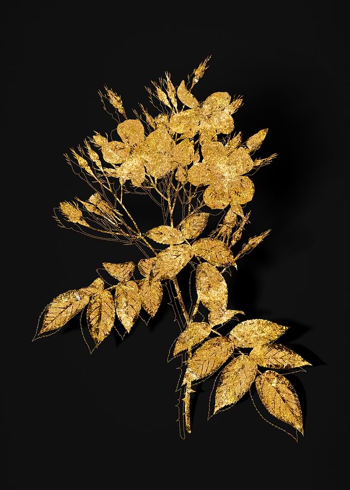 Gold Flora on Black