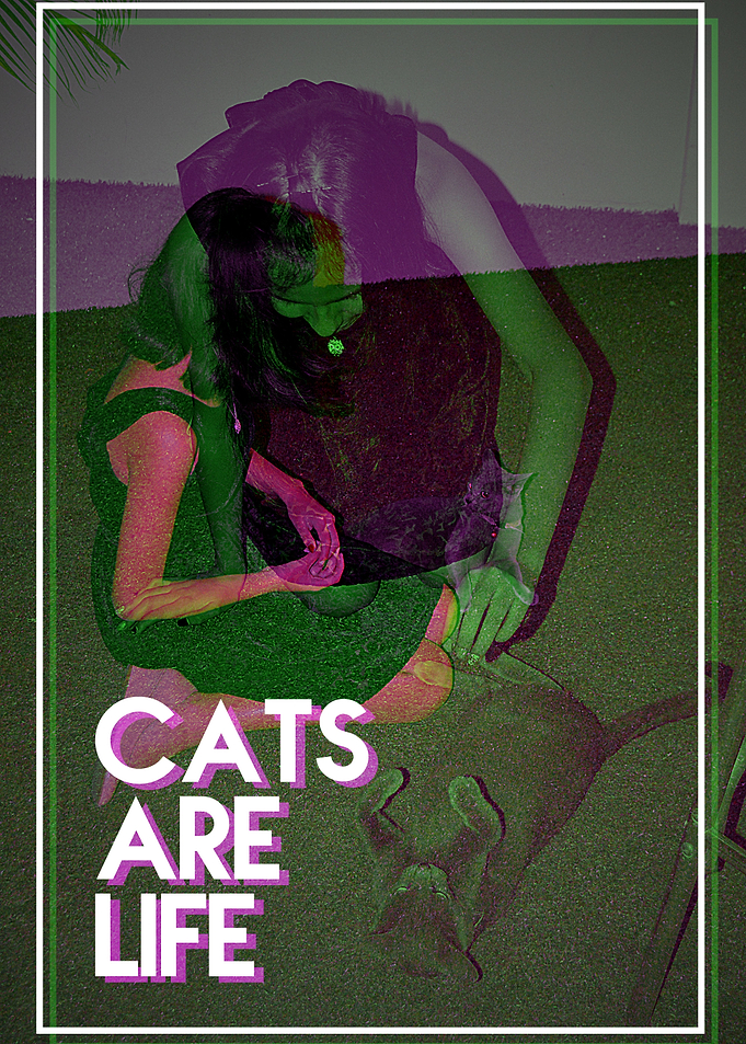 Cats are Life