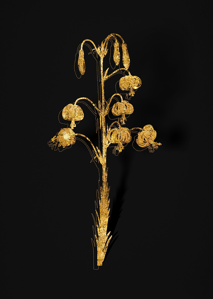 Gold Flora on Black
