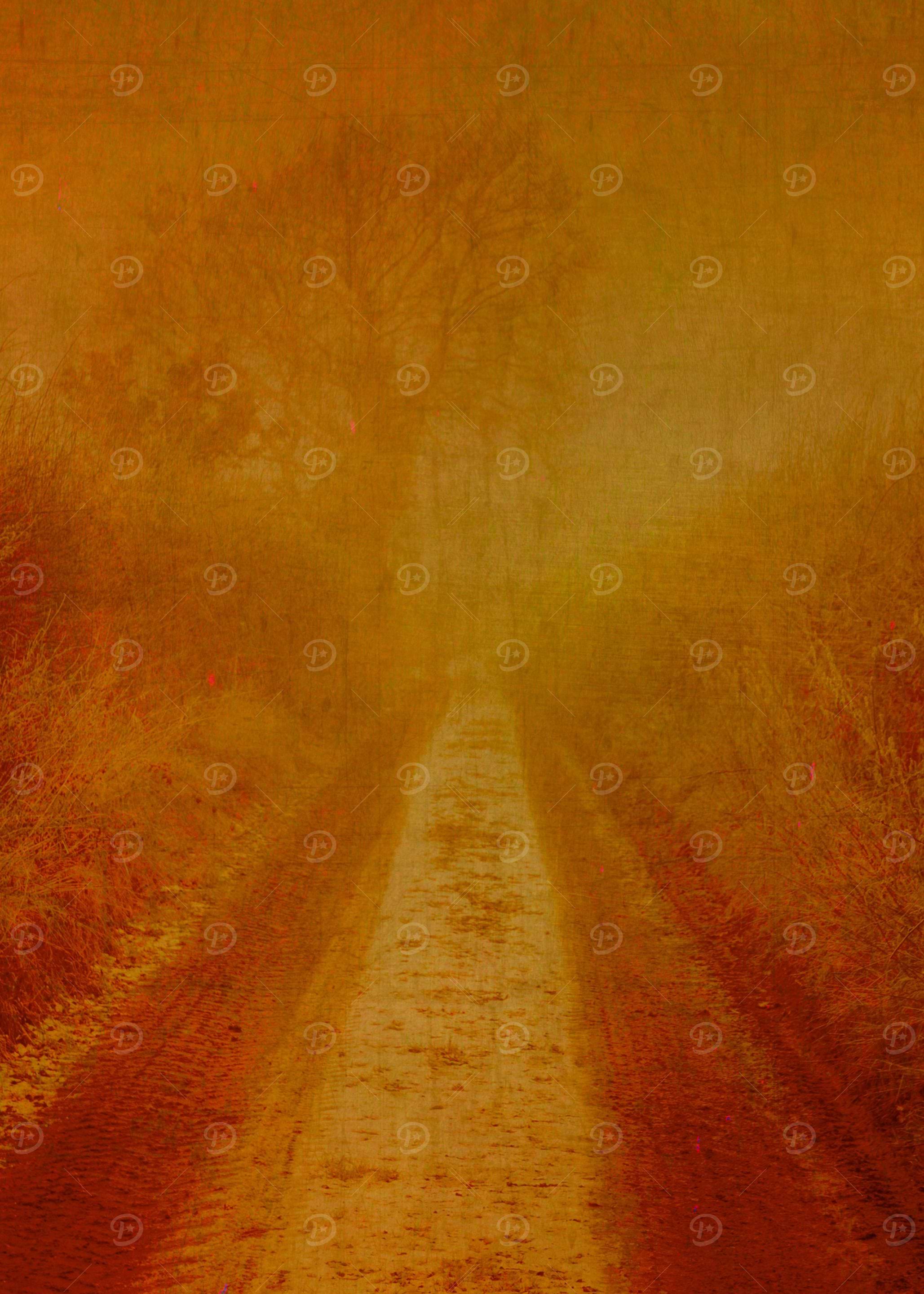 The Homeward Path