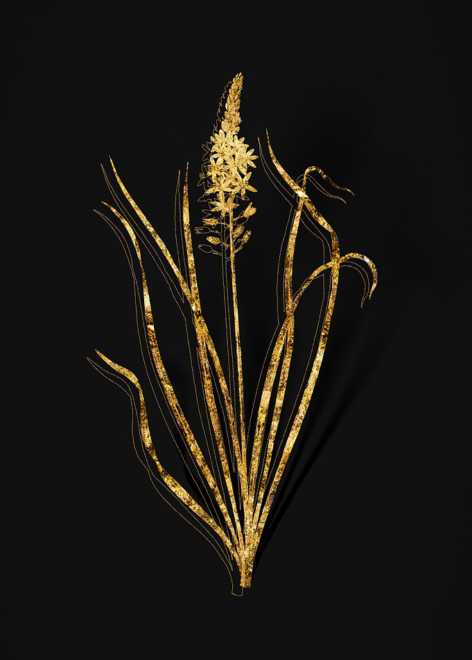 Gold Flower on Black