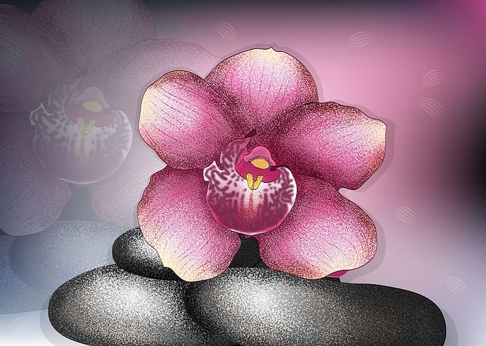 orchid print