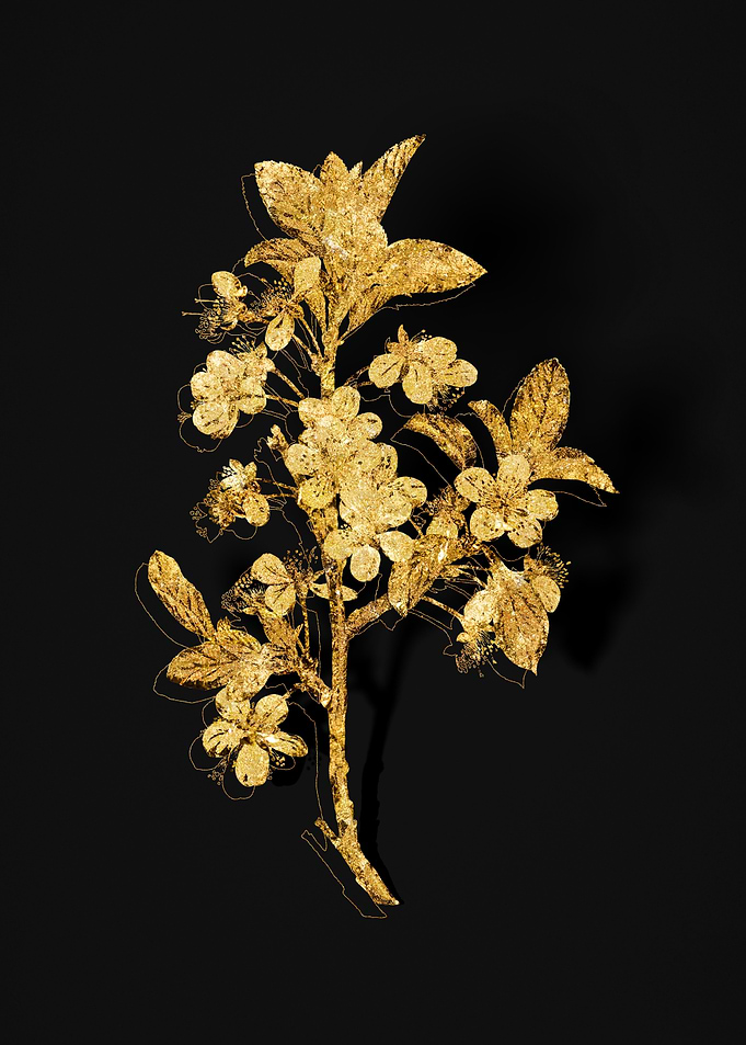 Gold Flower on Black