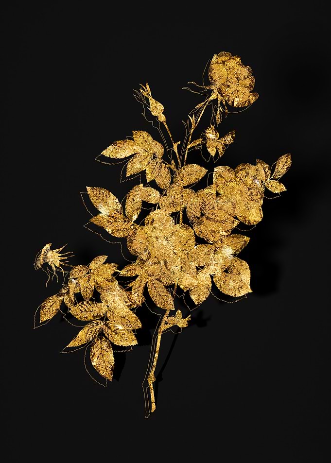 Gold Flora on Black