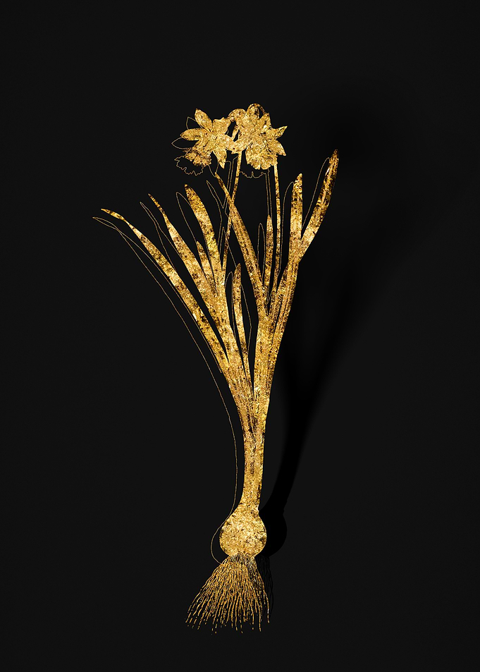 Gold Flora on Black