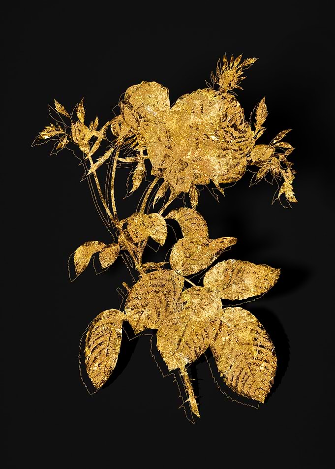 Gold Botanical on Black