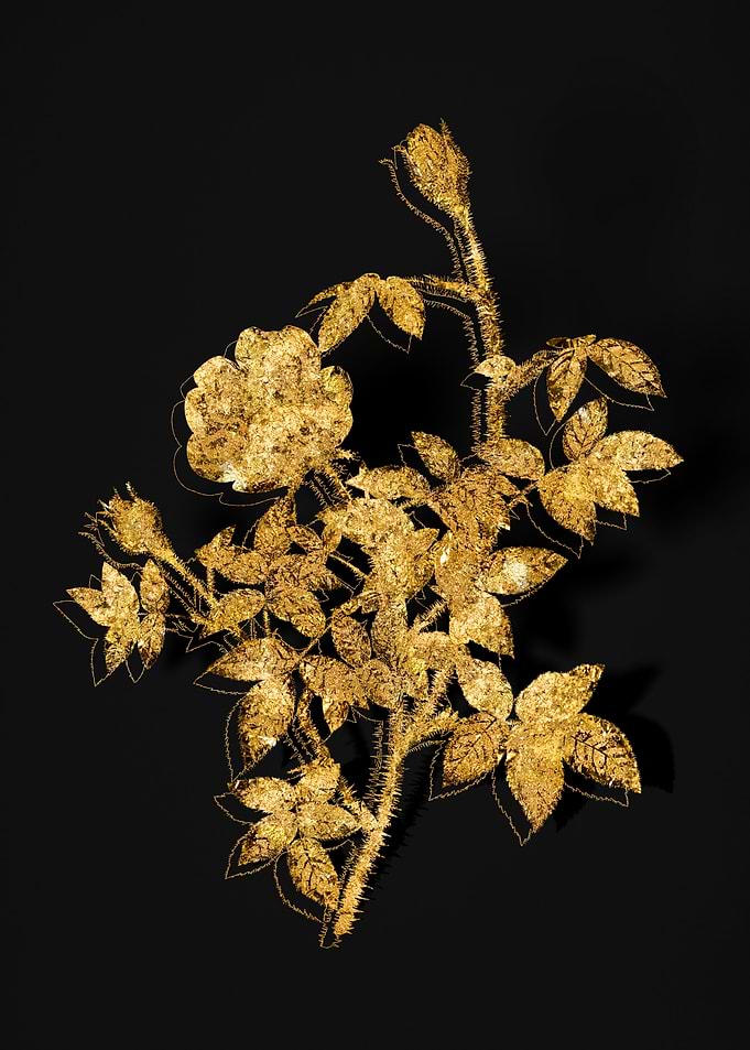 Gold Flora on Black
