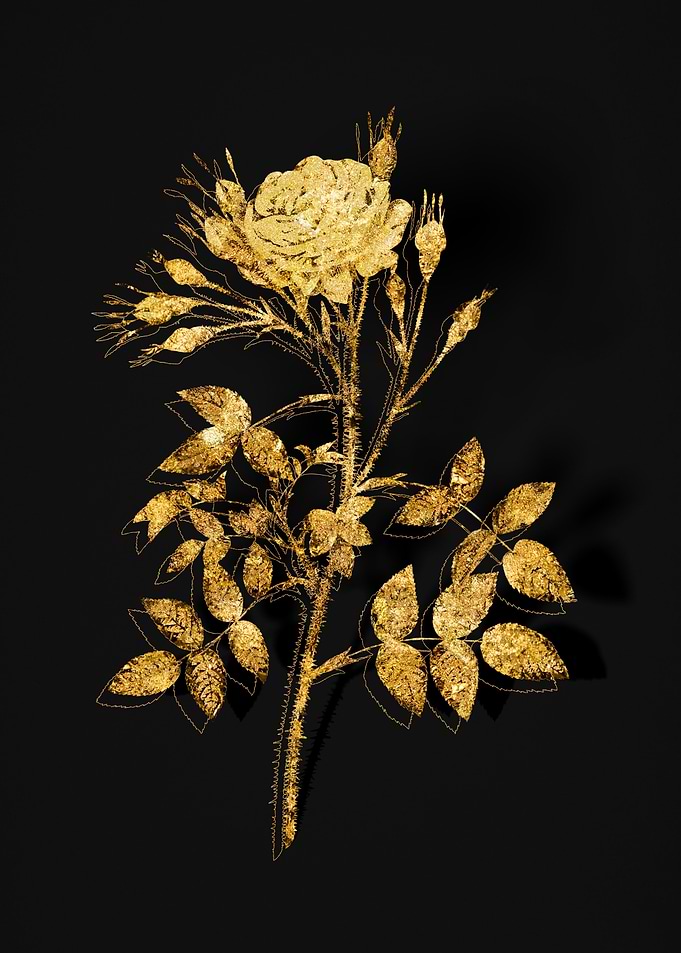 Gold Flower on Black