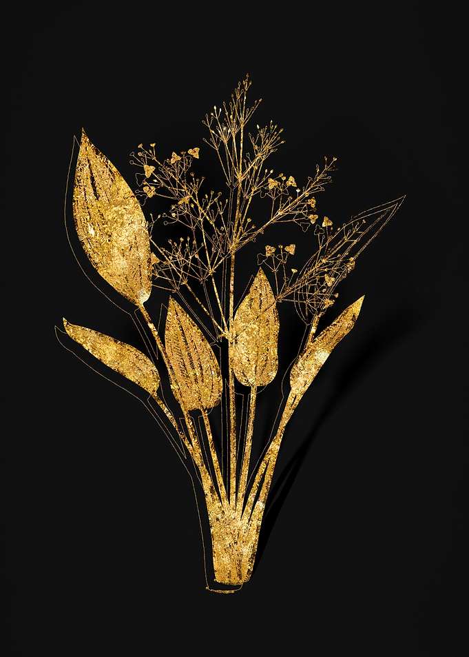 Gold Floral on Black