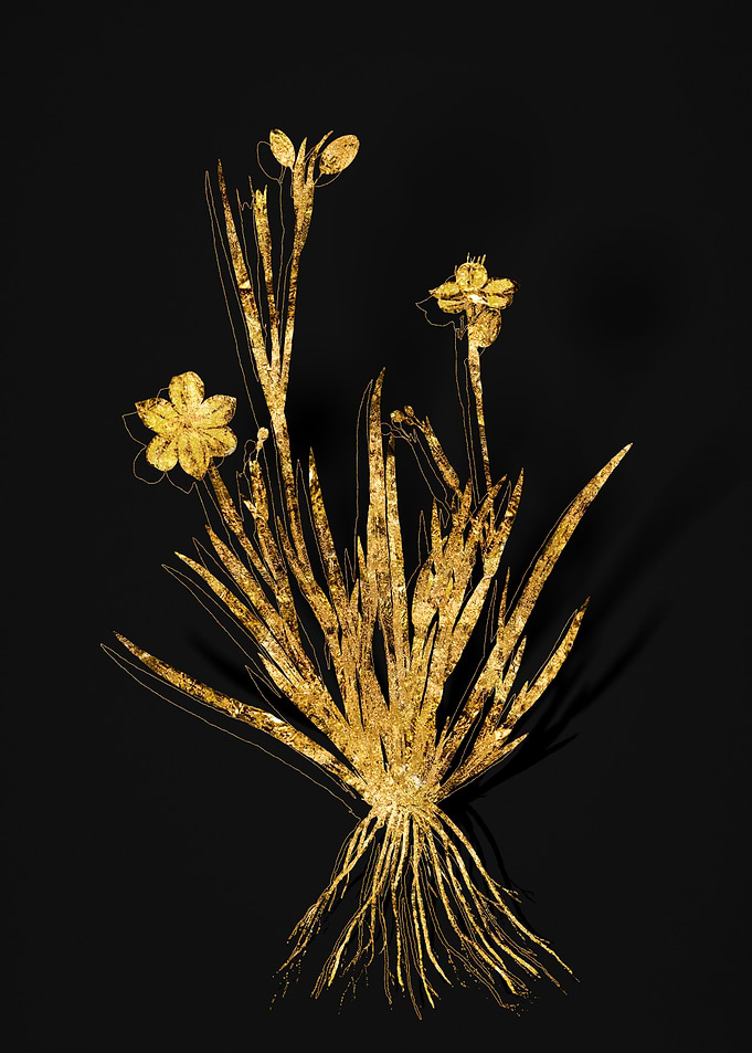Gold Flower on Black