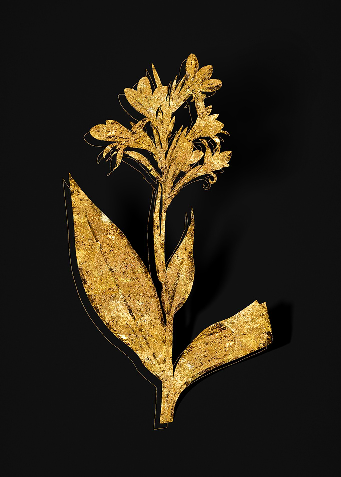 Gold Flower on Black
