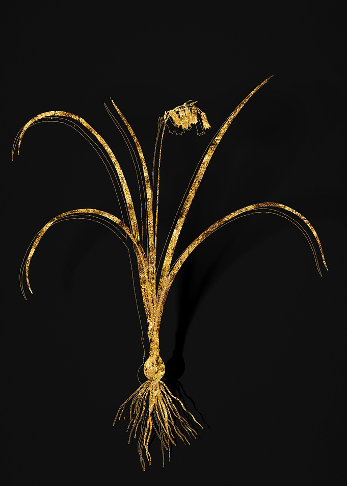 Gold Flower on Black