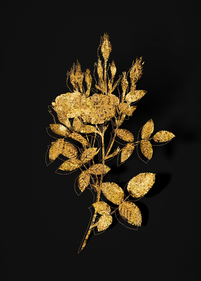 Gold Flora on Black