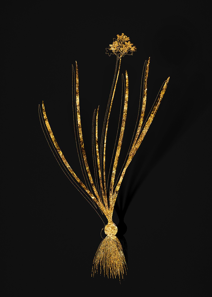 Gold Flower on Black