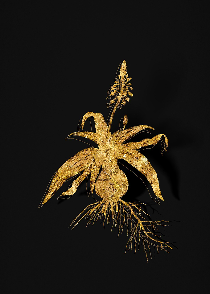 Gold Flora on Black