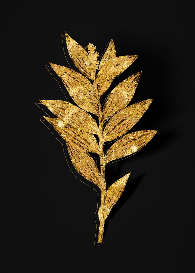 Gold Flower on Black