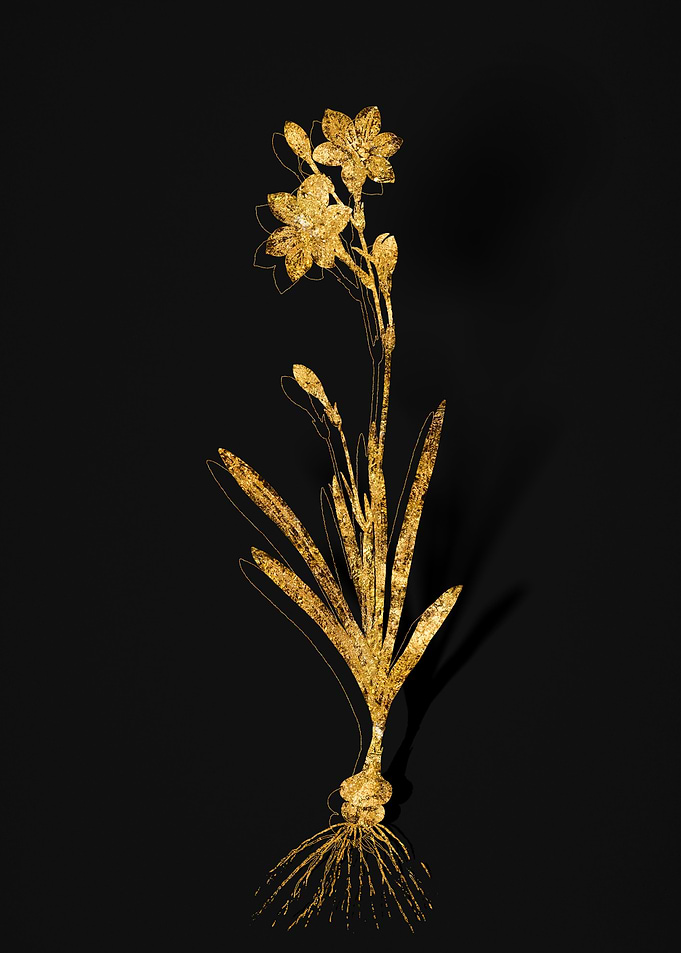 Gold Botanical on Black