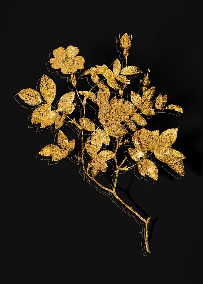 Gold Flower on Black