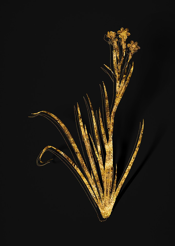 Gold Flora on Black