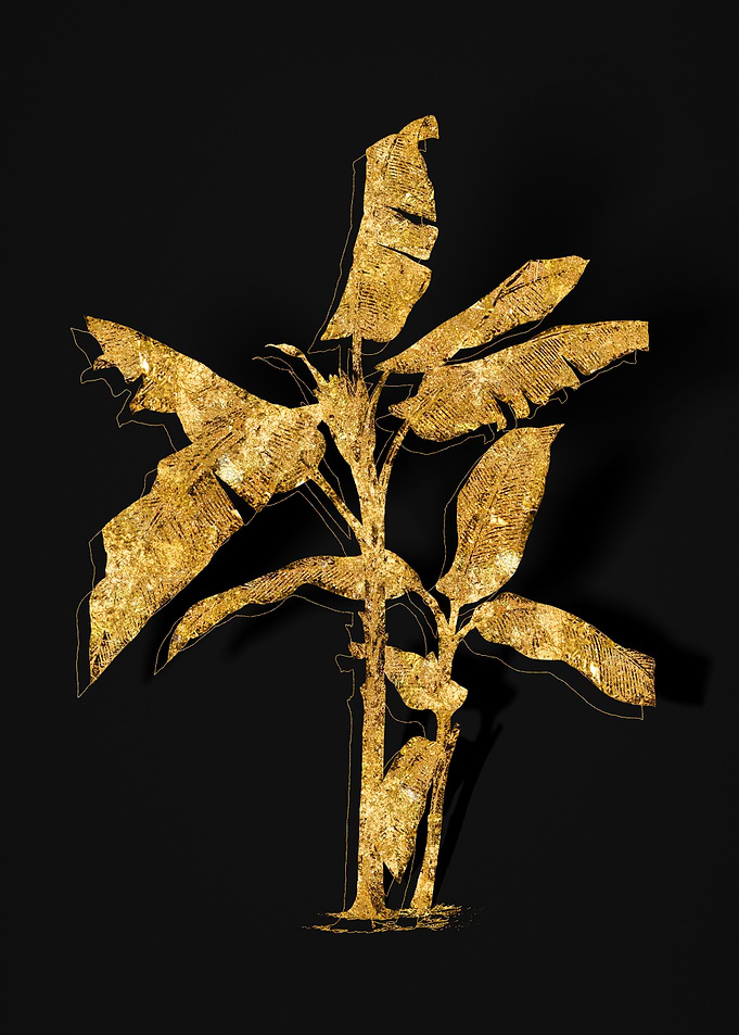 Gold Flower on Black