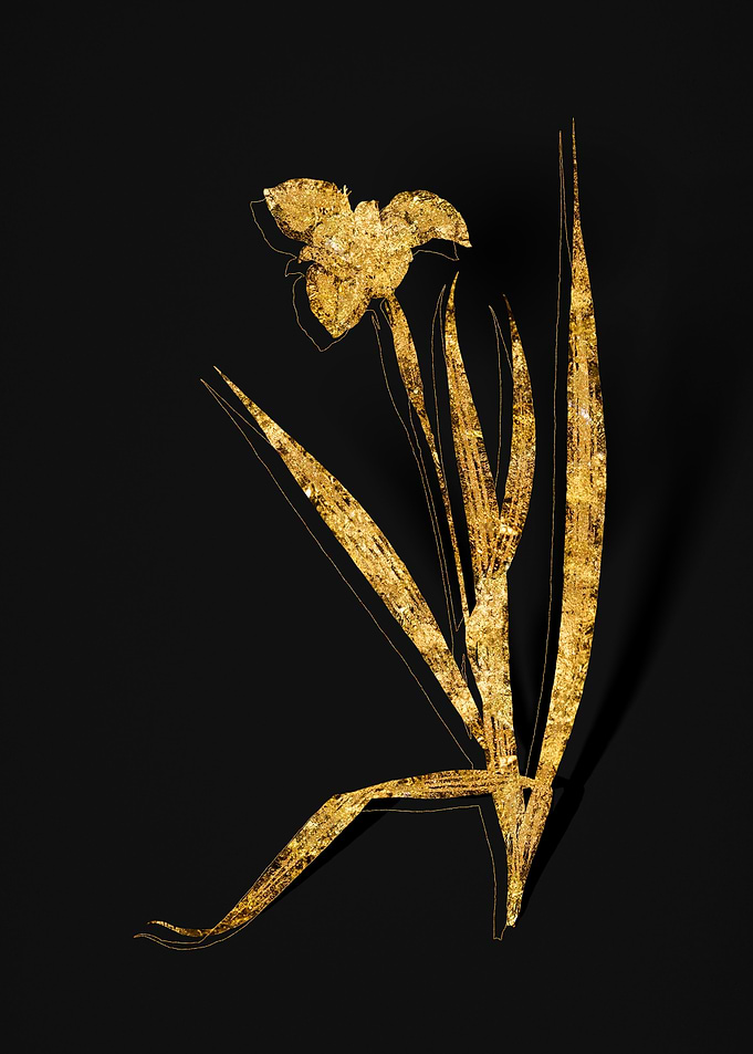 Gold Botanical on Black