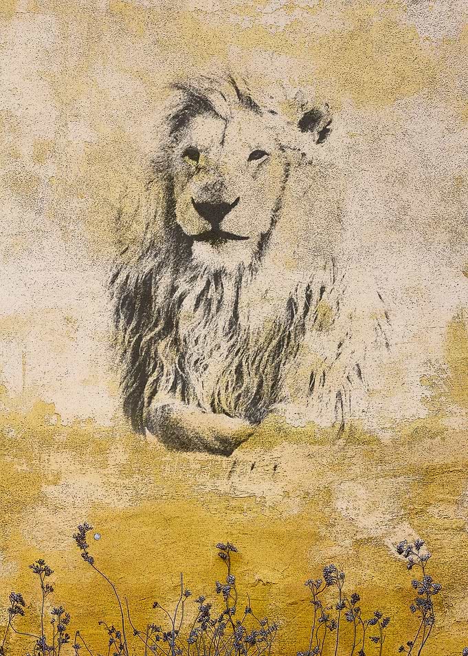 Coal drawn lion