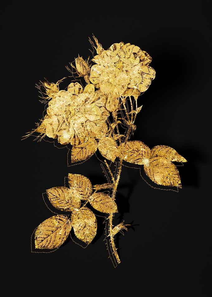Gold Flower on Black