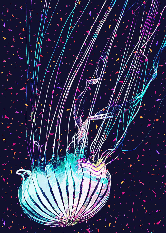 Jellyfish
