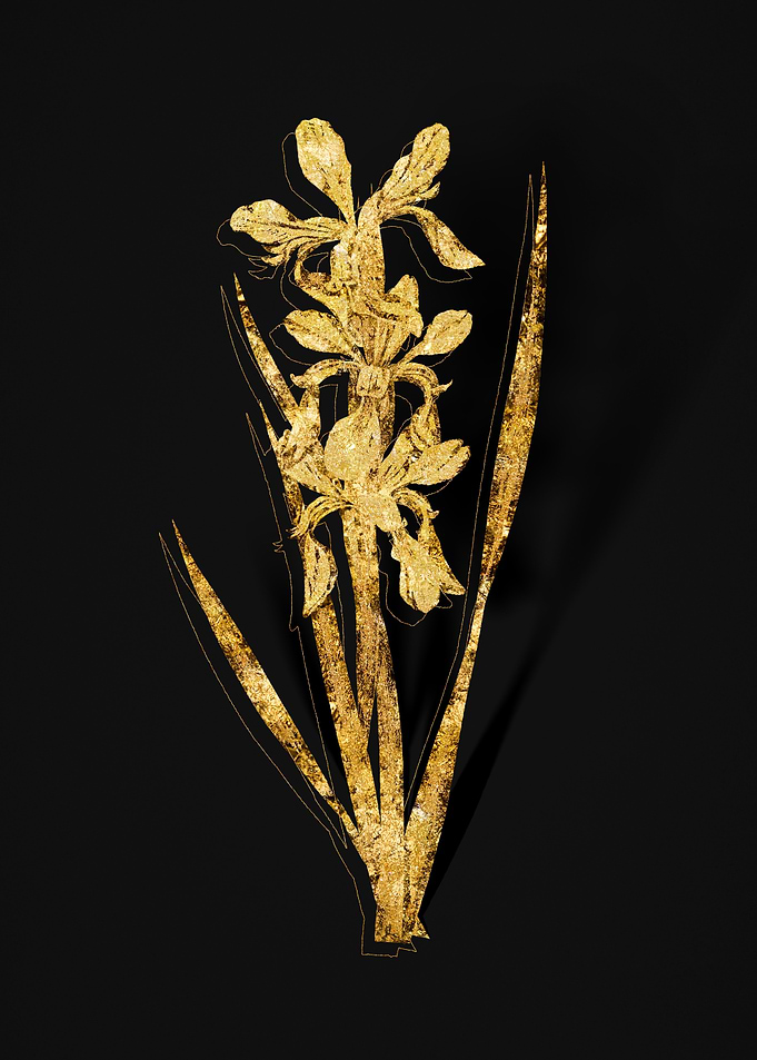 Gold Flower on Black