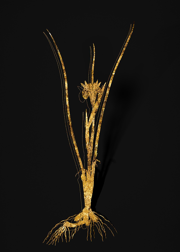 Gold Flower on Black