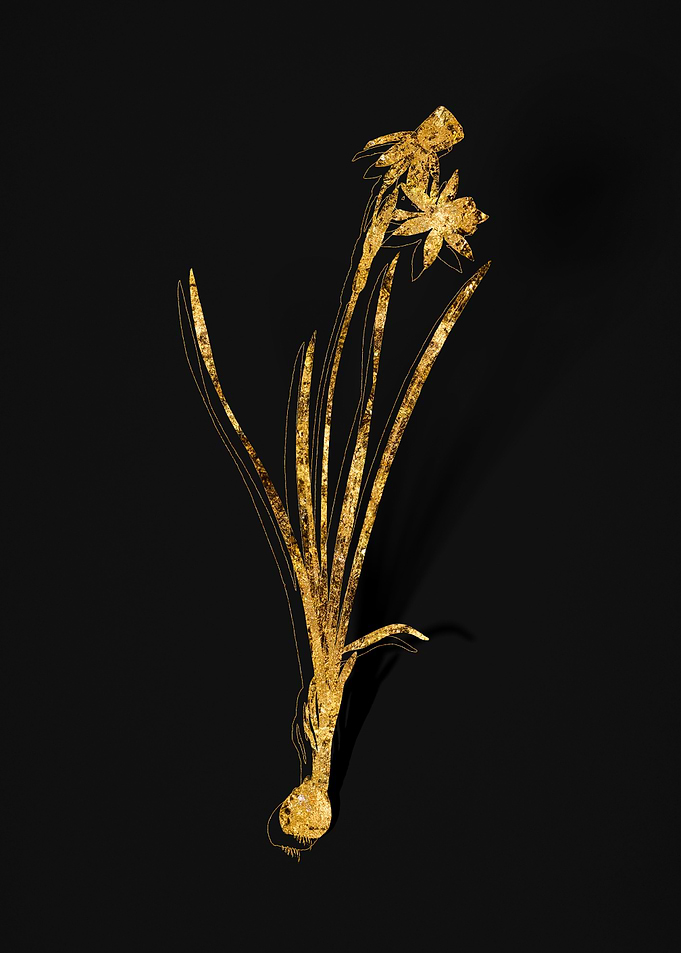 Gold Flora on Black