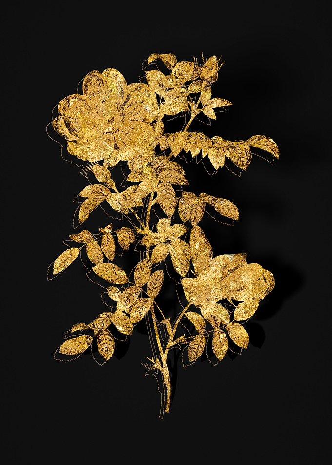 Gold Flora on Black