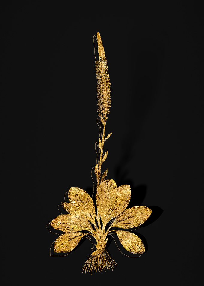 Gold Flora on Black