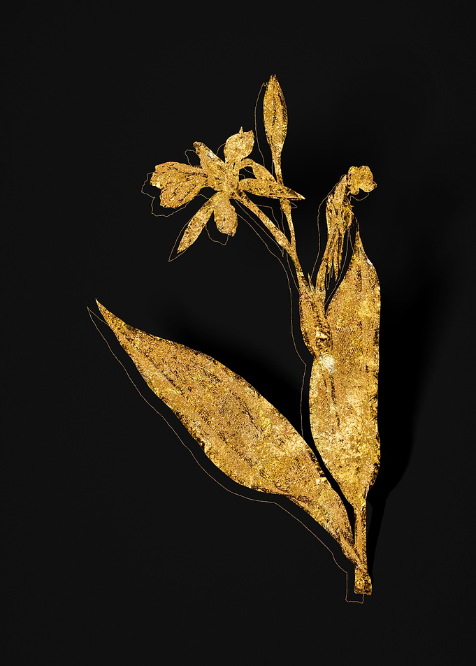 Gold Flora on Black