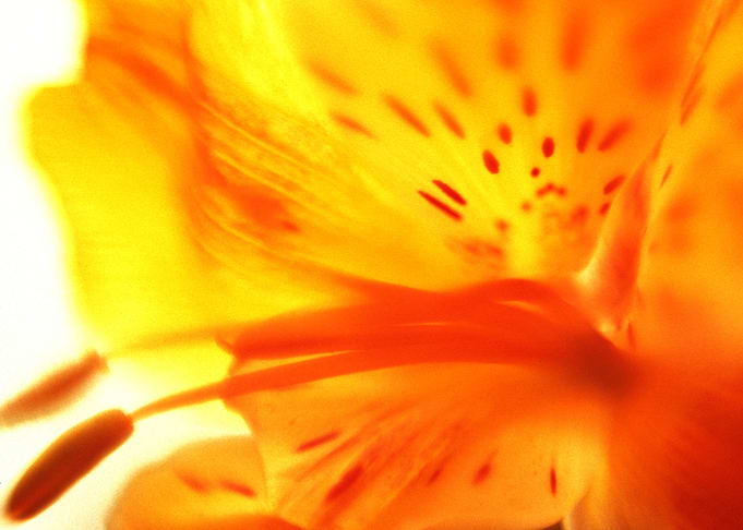 Untitled 122