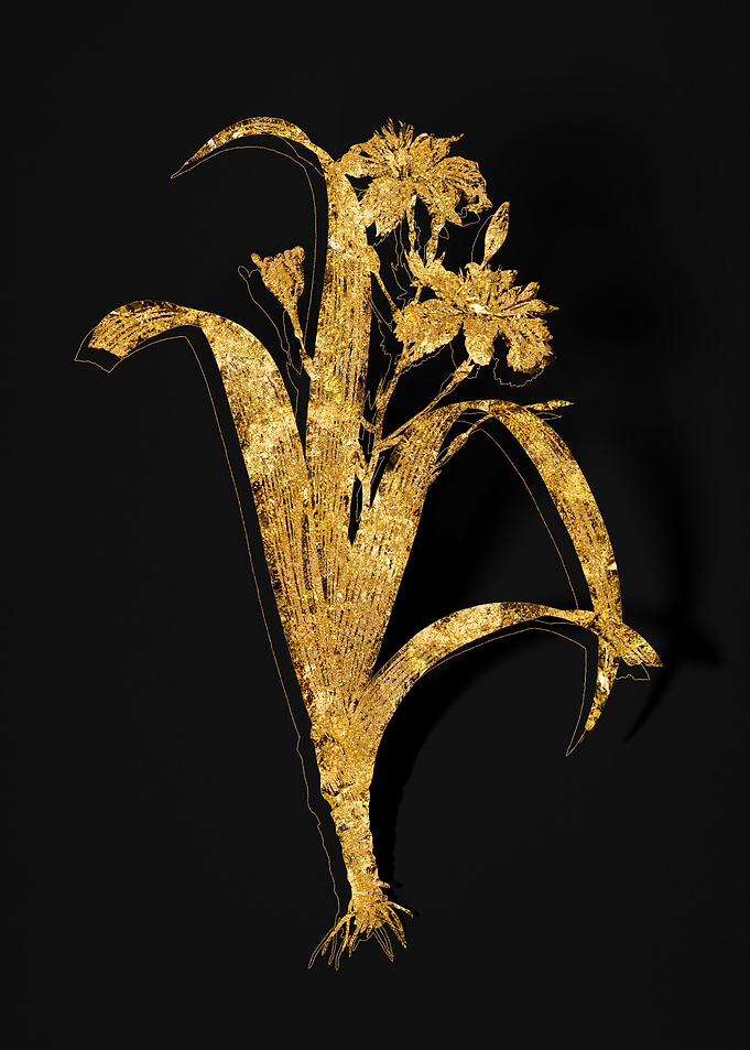 Gold Flower on Black