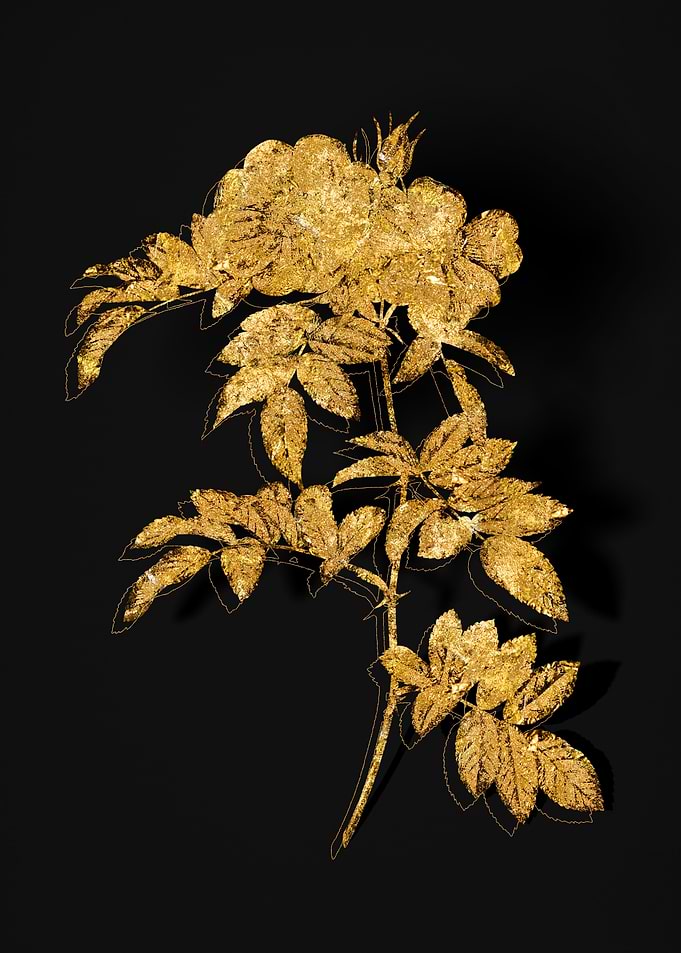 Gold Flora on Black