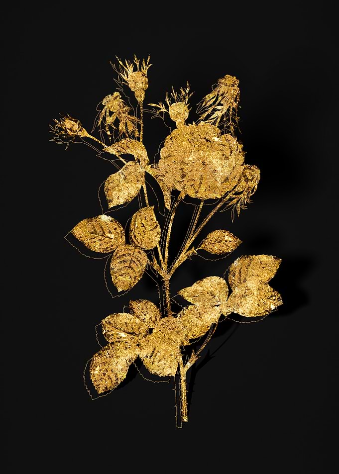 Gold Flower on Black