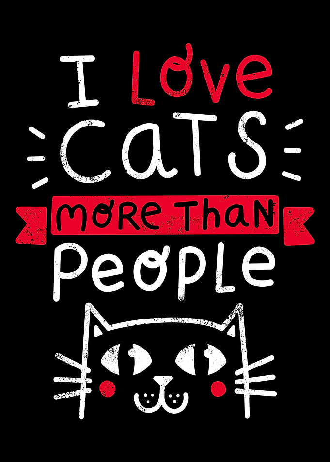 Cat Lover