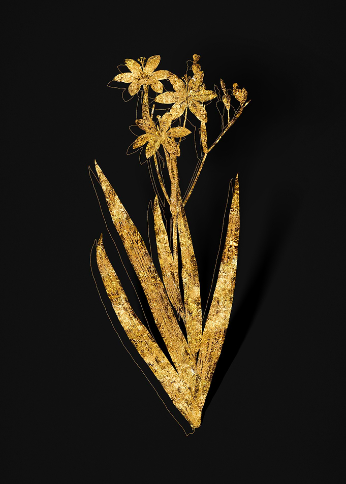 Gold Flora on Black