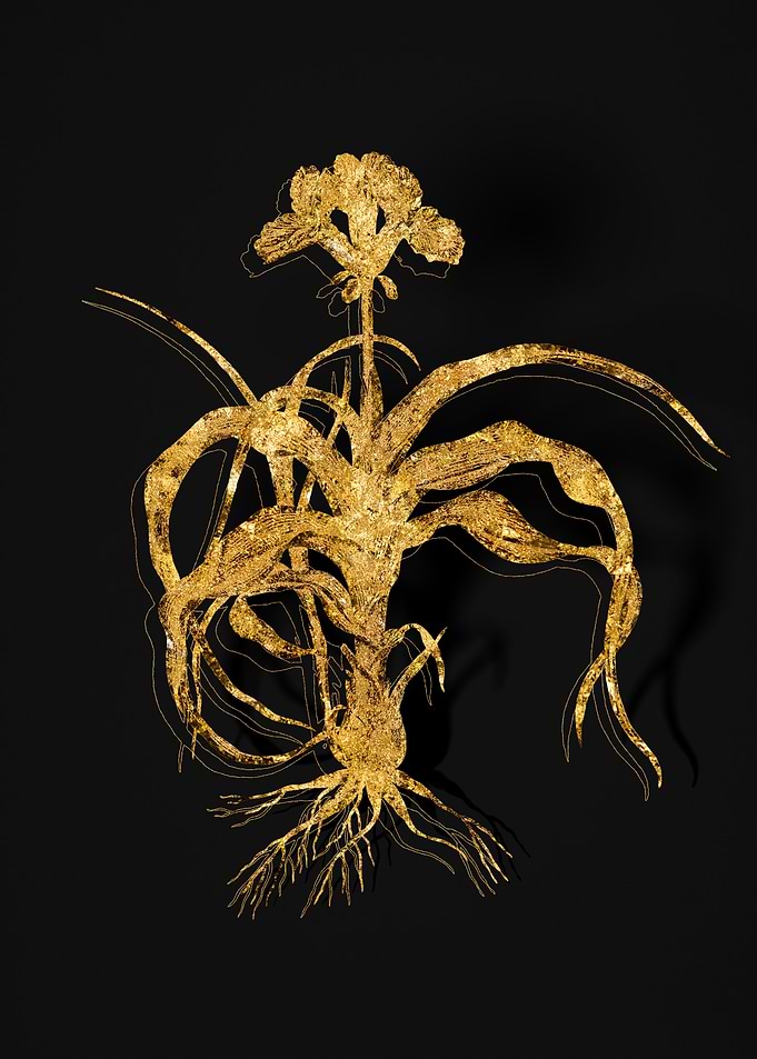 Gold Flower on Black
