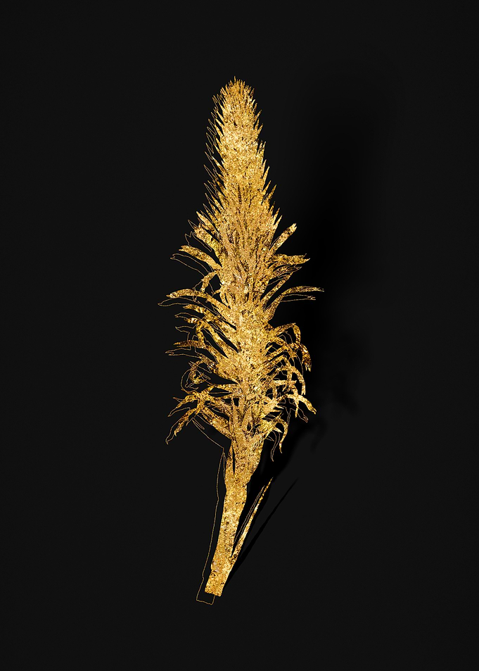 Gold Flora on Black