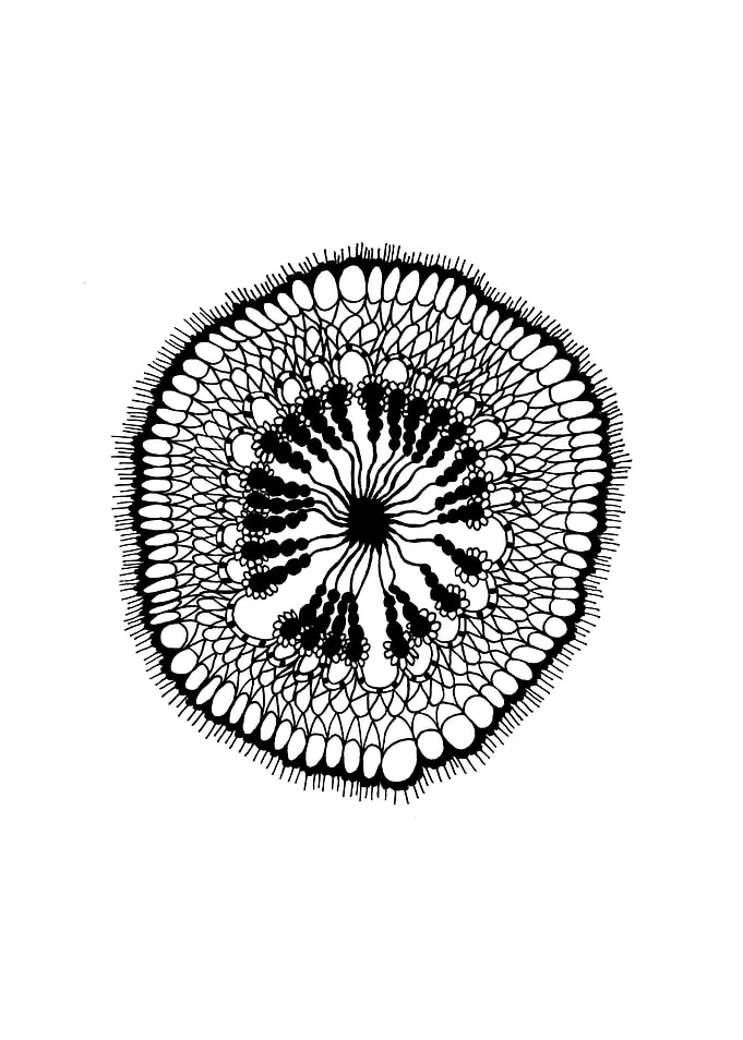 Under the Microscope II