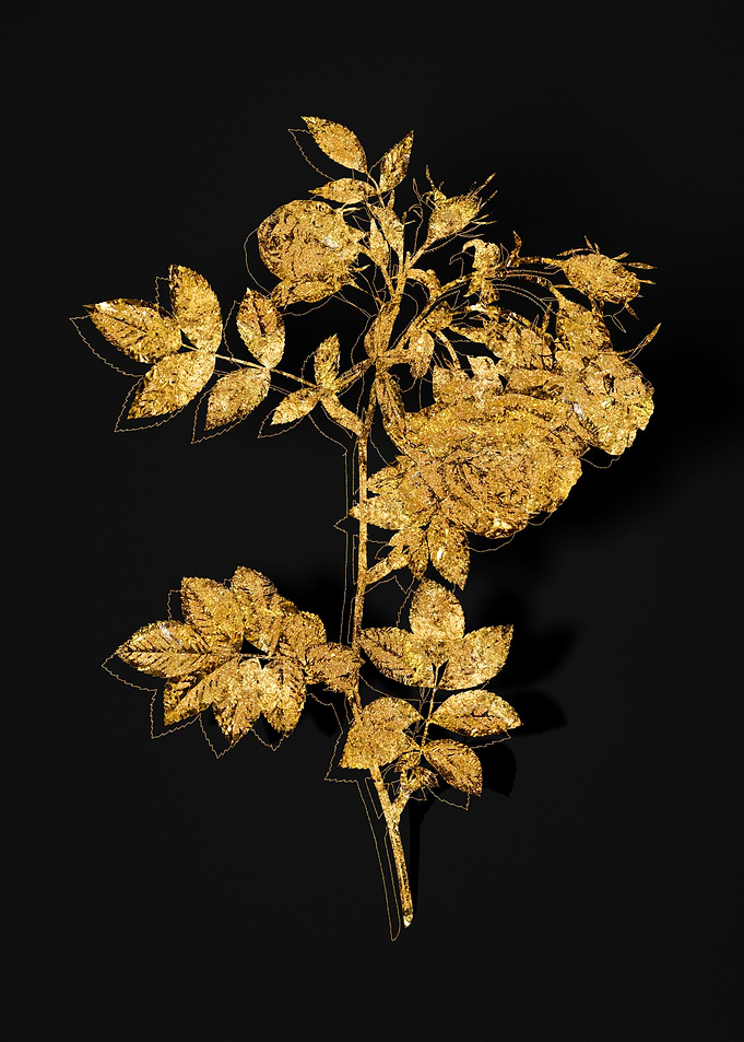 Gold Flower on Black