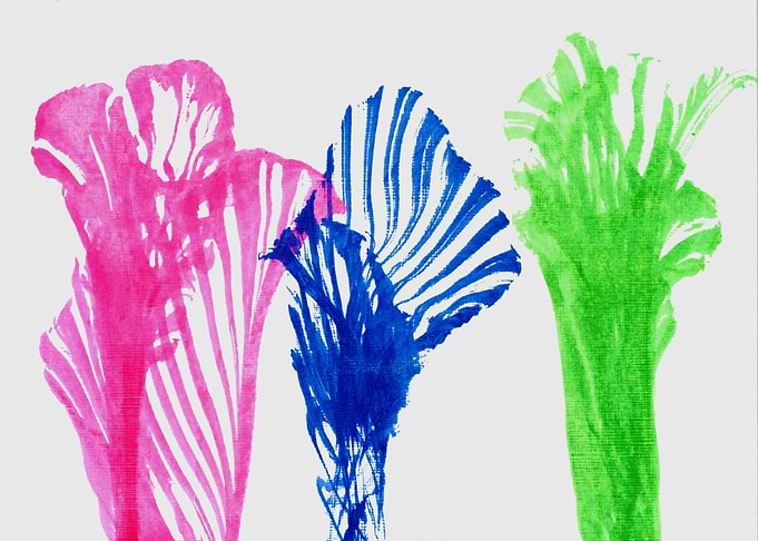 Abstract Flowers