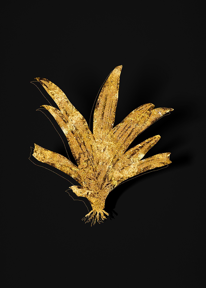 Gold Flower on Black